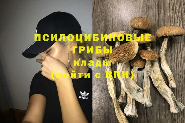 ГАЛЛЮЦИНОГЕННЫЕ ГРИБЫ Покровск