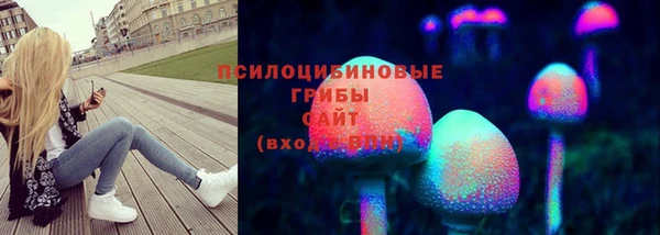 ГАЛЛЮЦИНОГЕННЫЕ ГРИБЫ Покровск