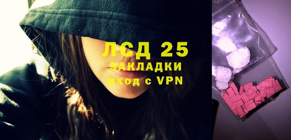ГАЛЛЮЦИНОГЕННЫЕ ГРИБЫ Покровск