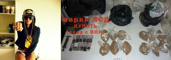 ГАЛЛЮЦИНОГЕННЫЕ ГРИБЫ Покровск