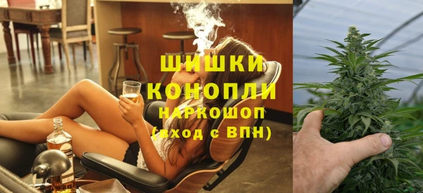 ГАЛЛЮЦИНОГЕННЫЕ ГРИБЫ Покровск