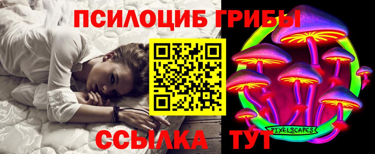 Галлюциногенные грибы Psilocybine cubensis  Вход с VPN  Соль-Илецк 